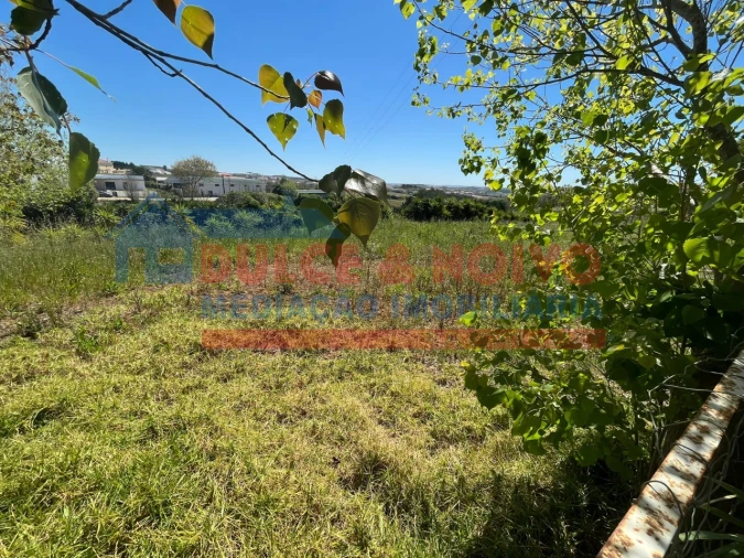 Terreno para Venda em Lourinhã e Atalaia Foto 7