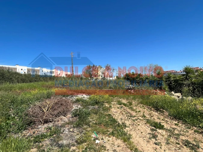 Terreno para Venda em Lourinhã e Atalaia Foto 10