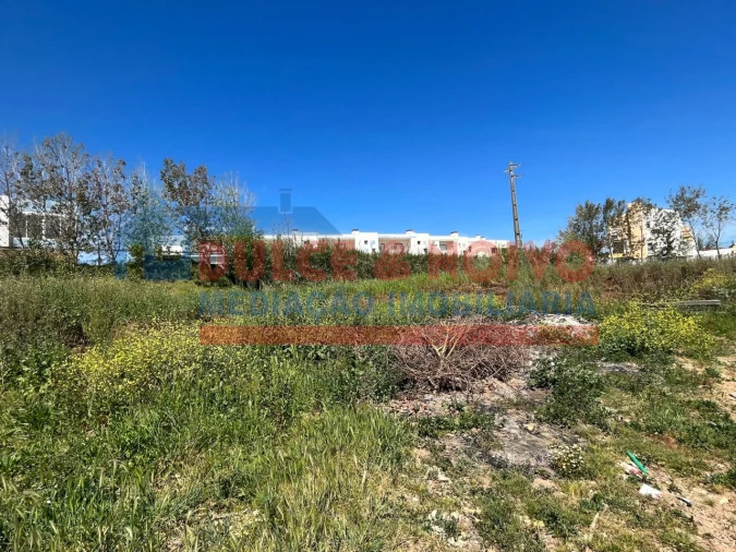 Terreno para Venda em Lourinhã e Atalaia Foto 11