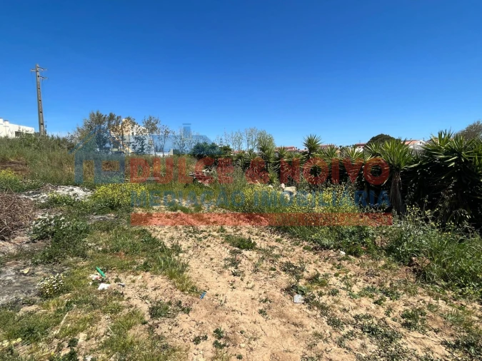 Terreno para Venda em Lourinhã e Atalaia Foto 12