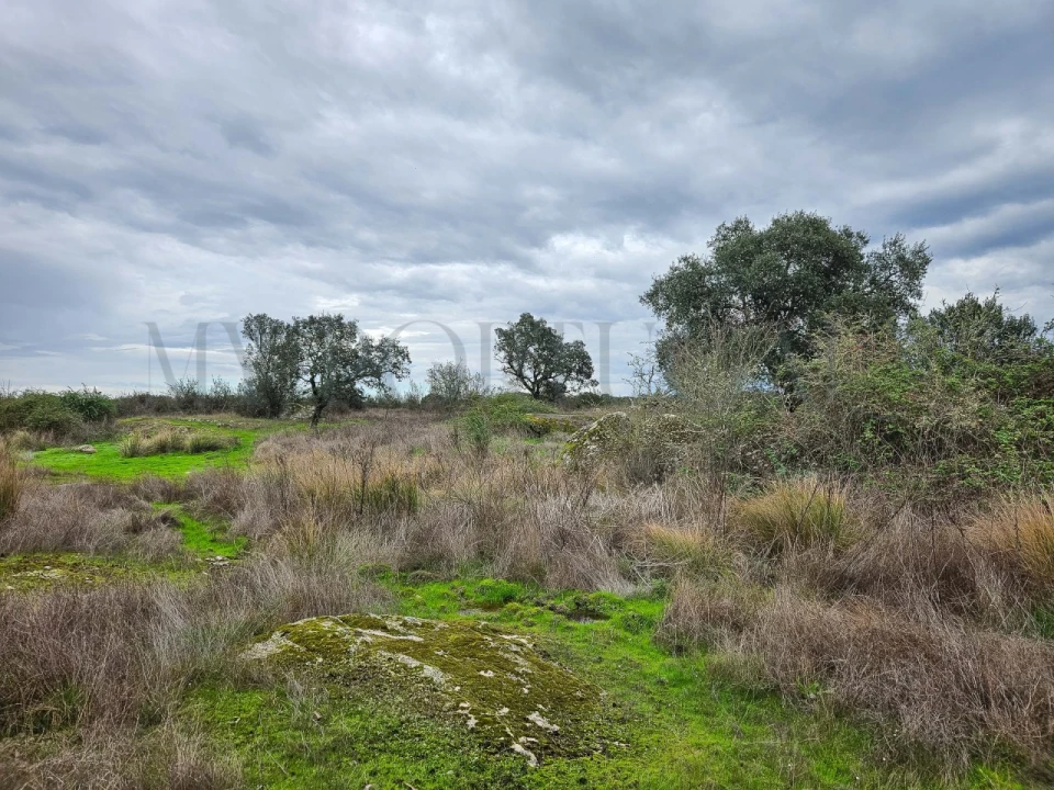 Terreno para Venda em Vimieiro Foto 7