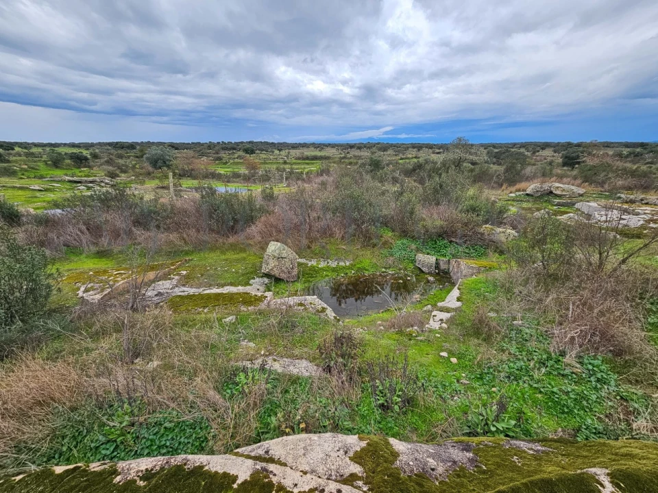Terreno para Venda em Vimieiro Foto 8