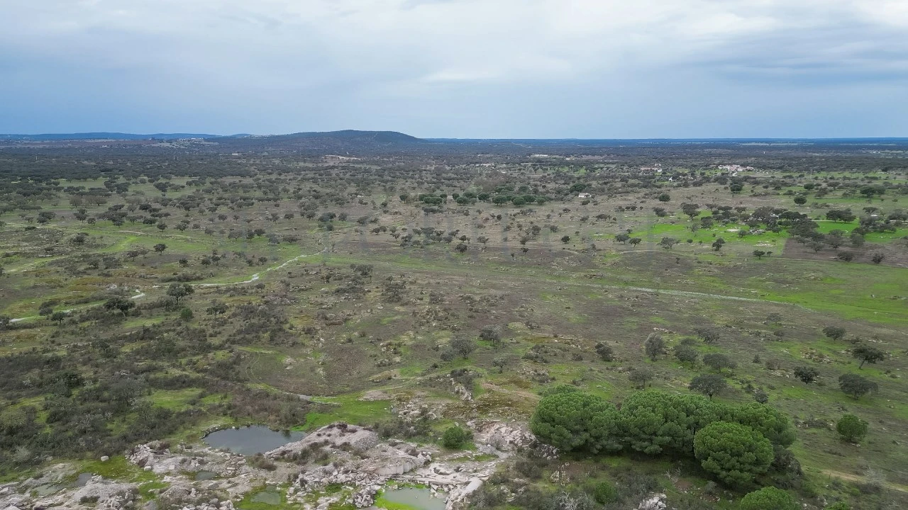 Terreno para Venda em Vimieiro Foto 16