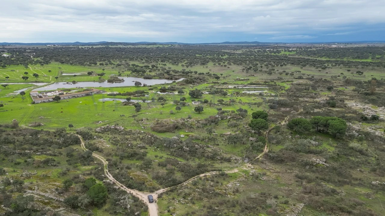 Terreno para Venda em Vimieiro Foto 17