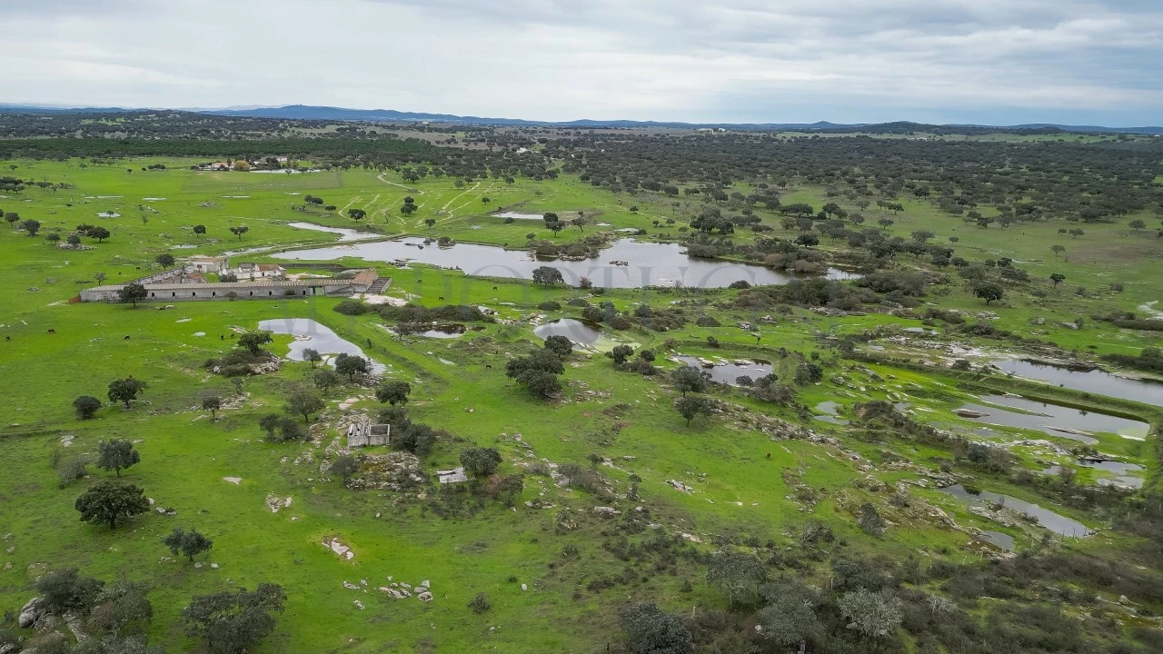Terreno para Venda em Vimieiro Foto 19