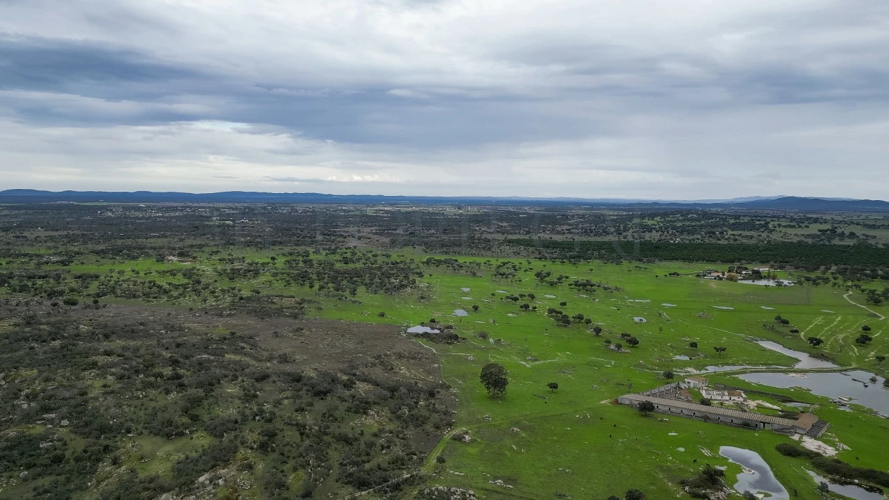 Terreno para Venda em Vimieiro Foto 20