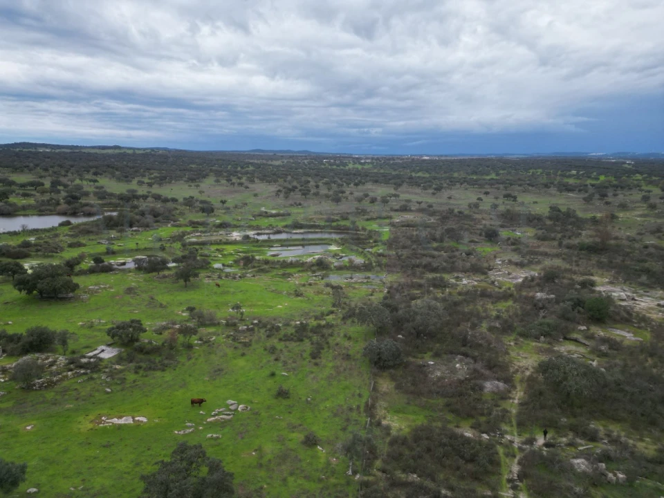 Terreno para Venda em Vimieiro Foto 25
