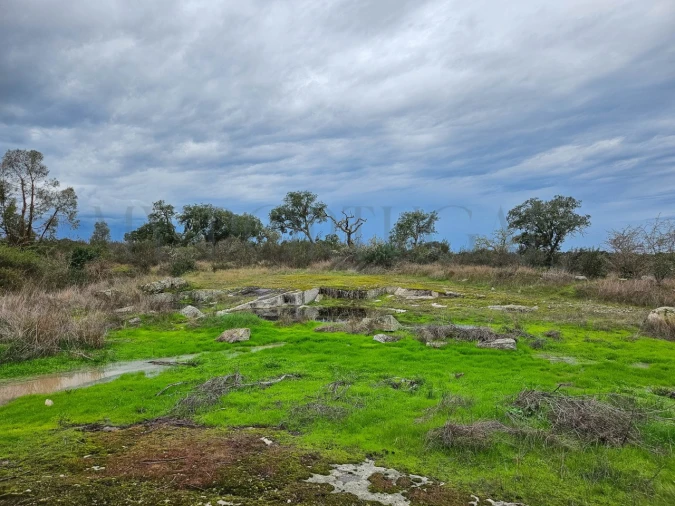 Terreno para Venda em Vimieiro Foto 5