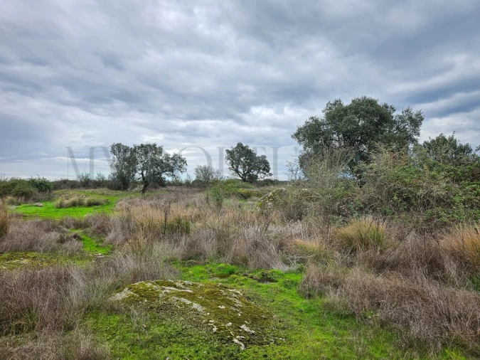 Terreno para Venda em Vimieiro Foto 7