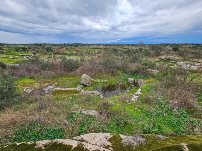 Terreno para Venda em Vimieiro Foto 8