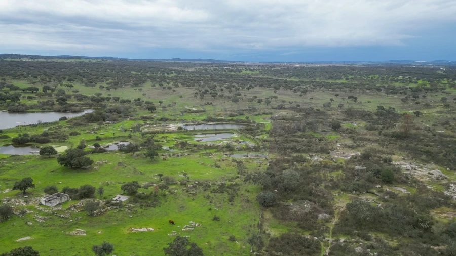 Terreno para Venda em Vimieiro Foto 15