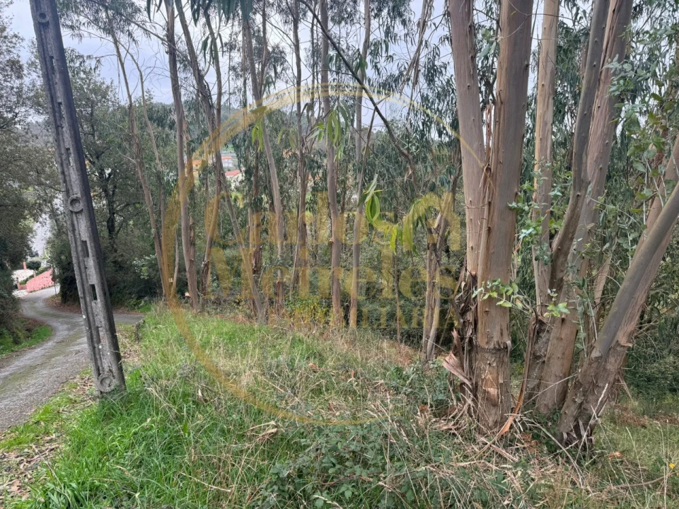 Terreno para Venda em Anais Foto 2