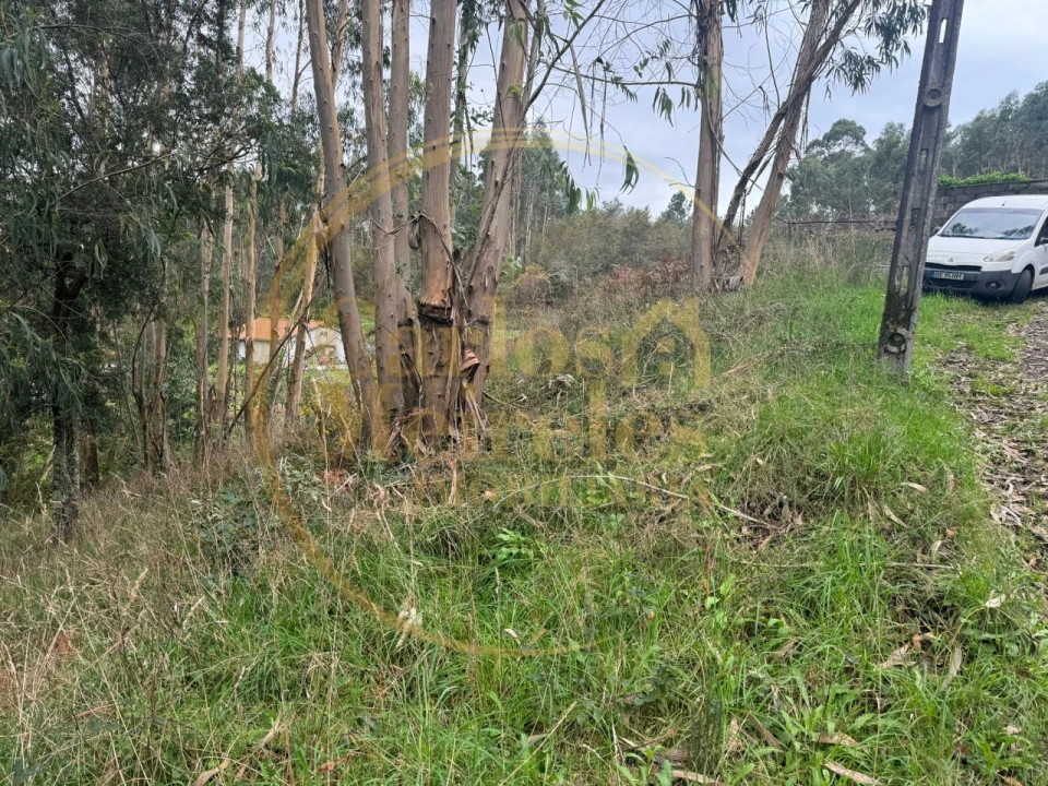 Terreno para Venda em Anais Foto 5