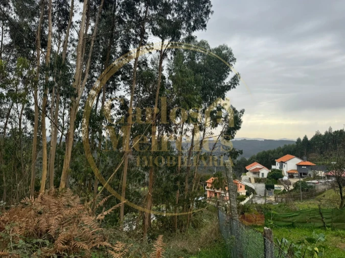 Terreno para Venda em Anais Foto 1