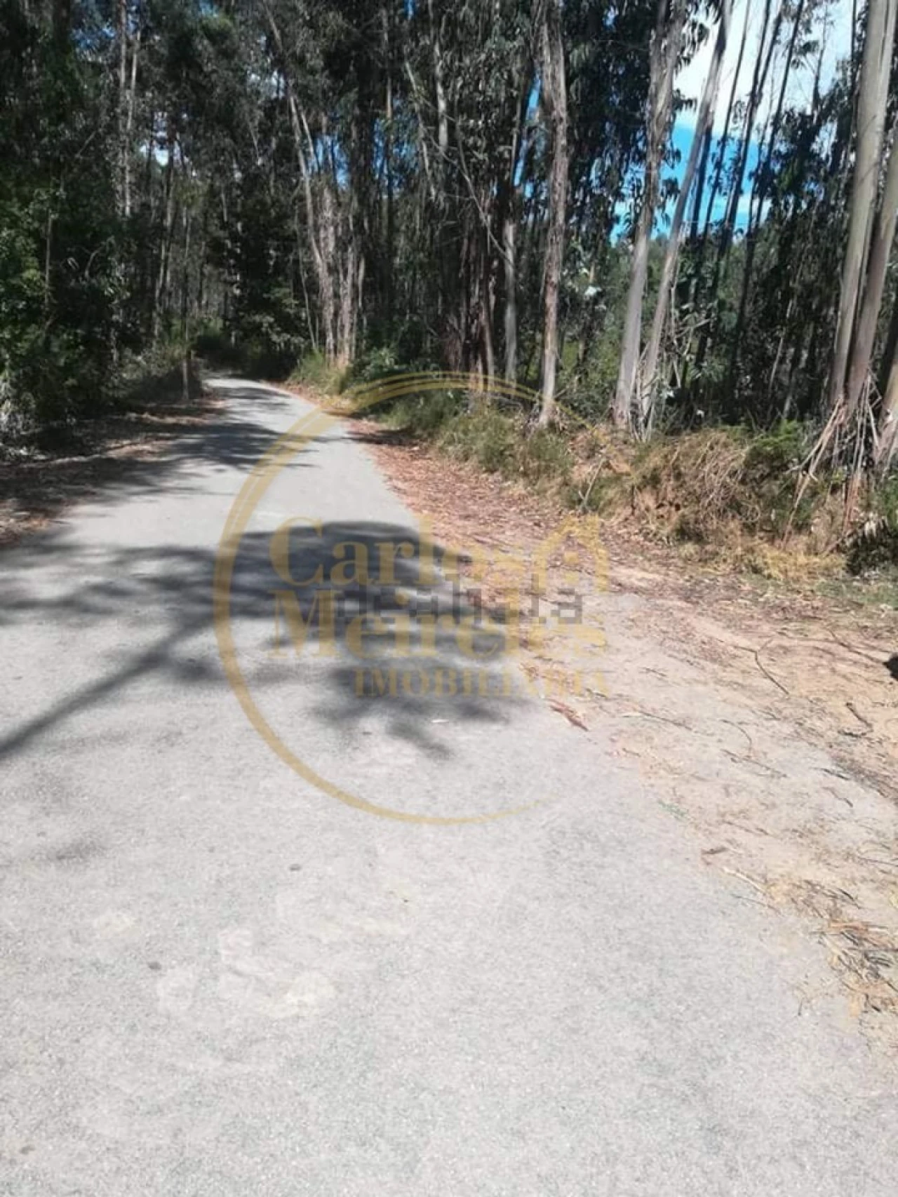 Terreno para Venda em Oleiros Foto 4