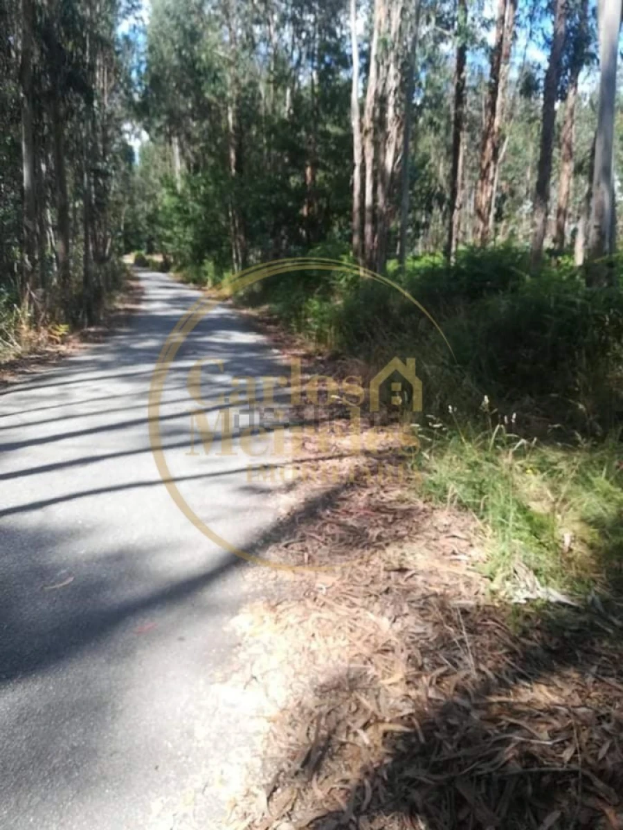 Terreno para Venda em Oleiros Foto 2