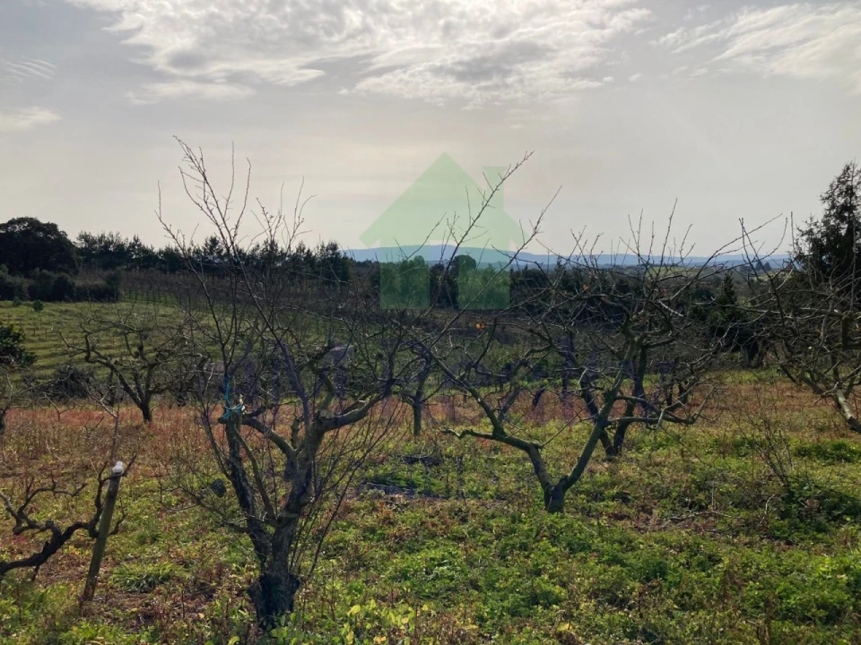 Terreno para Venda em Roliça Foto 1