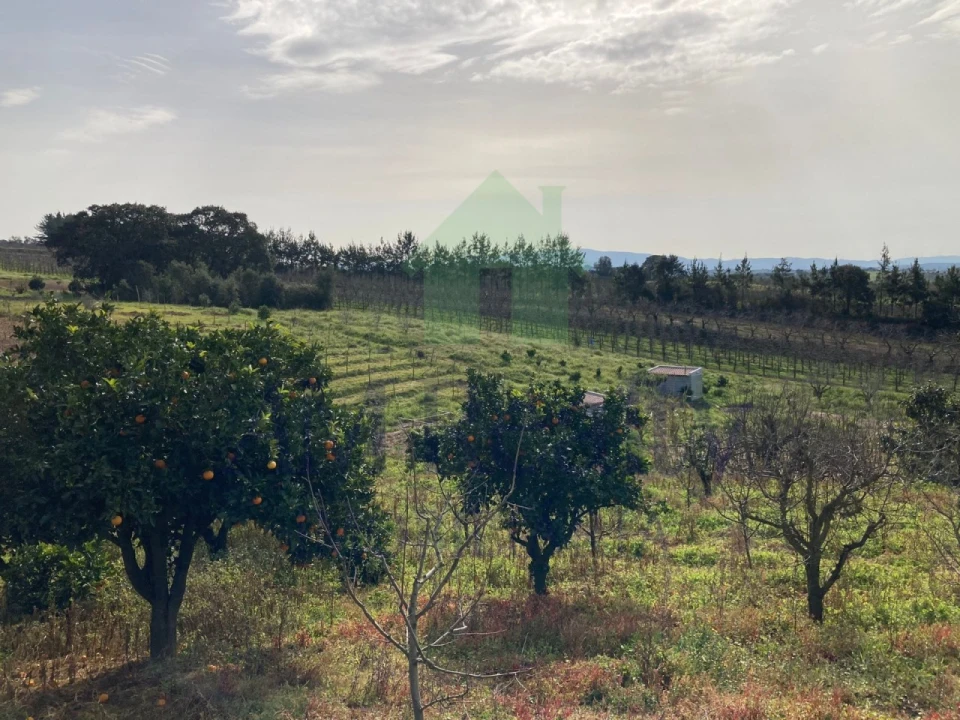 Terreno para Venda em Roliça Foto 4