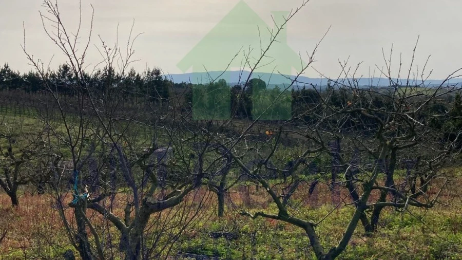 Terreno para Venda em Roliça