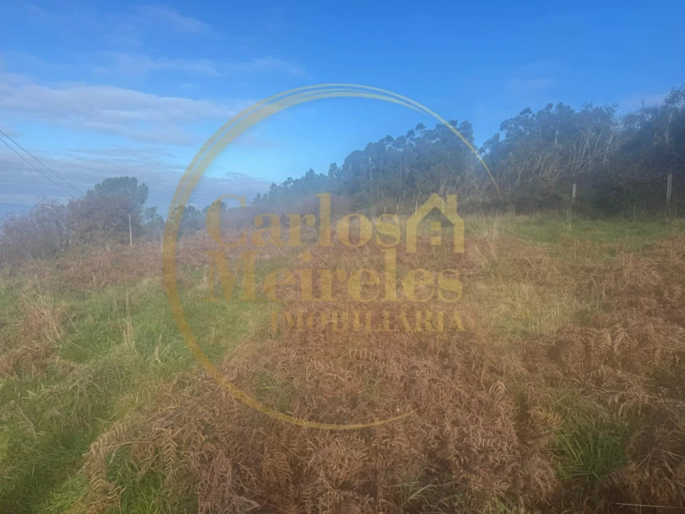 Terreno para Venda em Ribeira do Neiva Foto 2