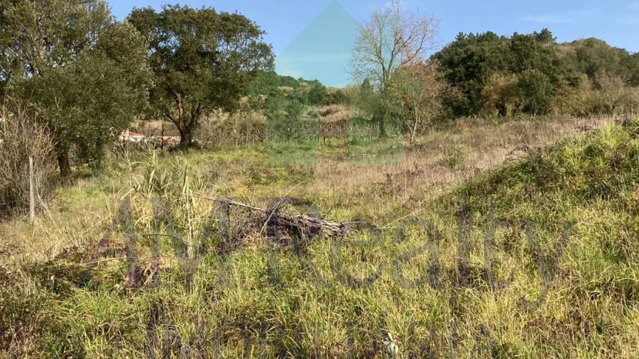 Terreno para Venda em Roliça