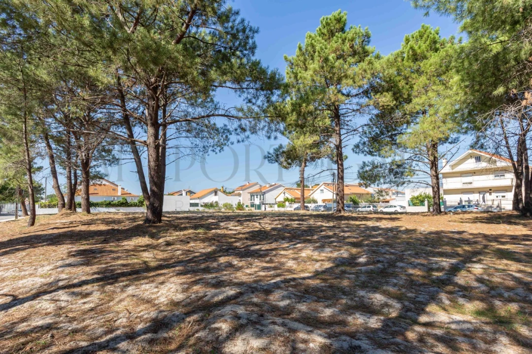 Terreno para Venda em Quinta do Conde Foto 7