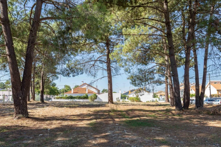 Terreno para Venda em Quinta do Conde Foto 4