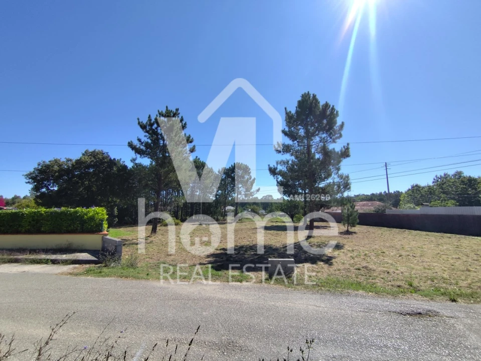 Terreno para Venda em Maceira Foto 5