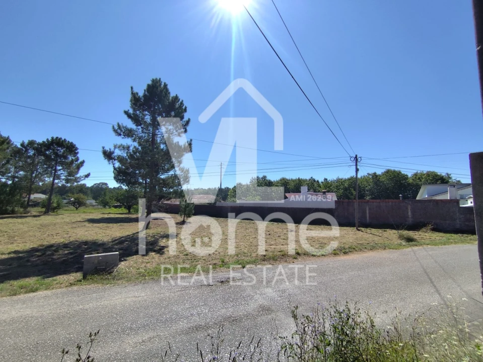 Terreno para Venda em Maceira Foto 7