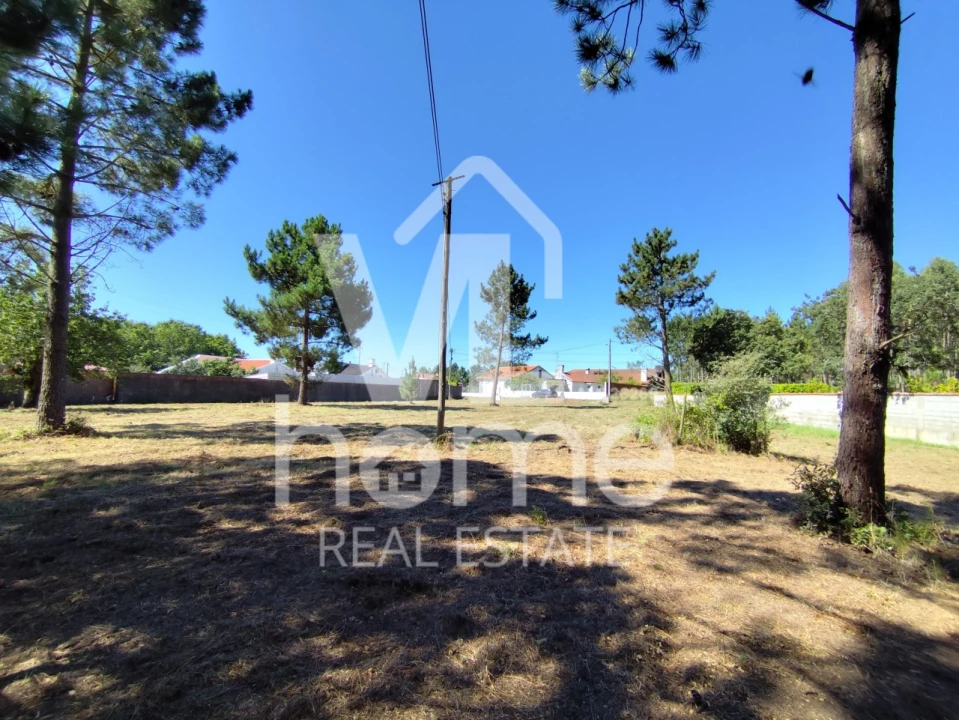 Terreno para Venda em Maceira Foto 15