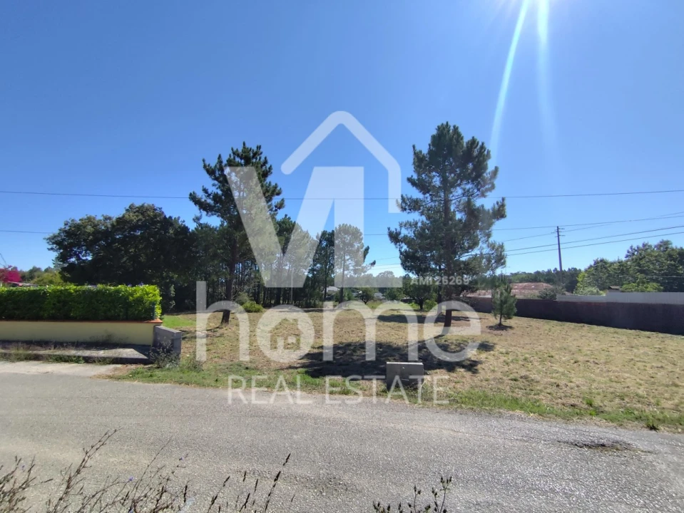 Terreno para Venda em Maceira Foto 21