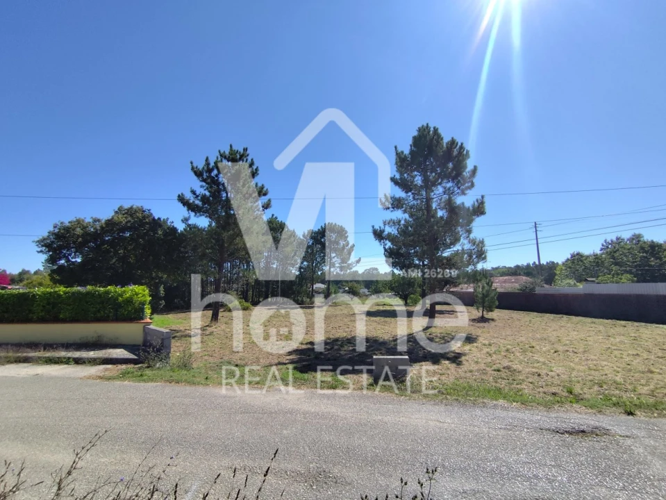 Terreno para Venda em Maceira Foto 22