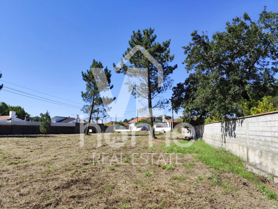 Terreno para Venda em Maceira Foto 24