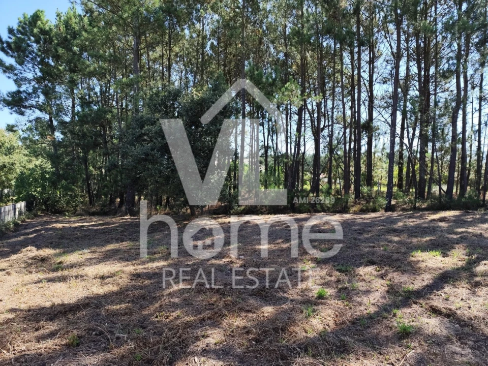 Terreno para Venda em Maceira Foto 25