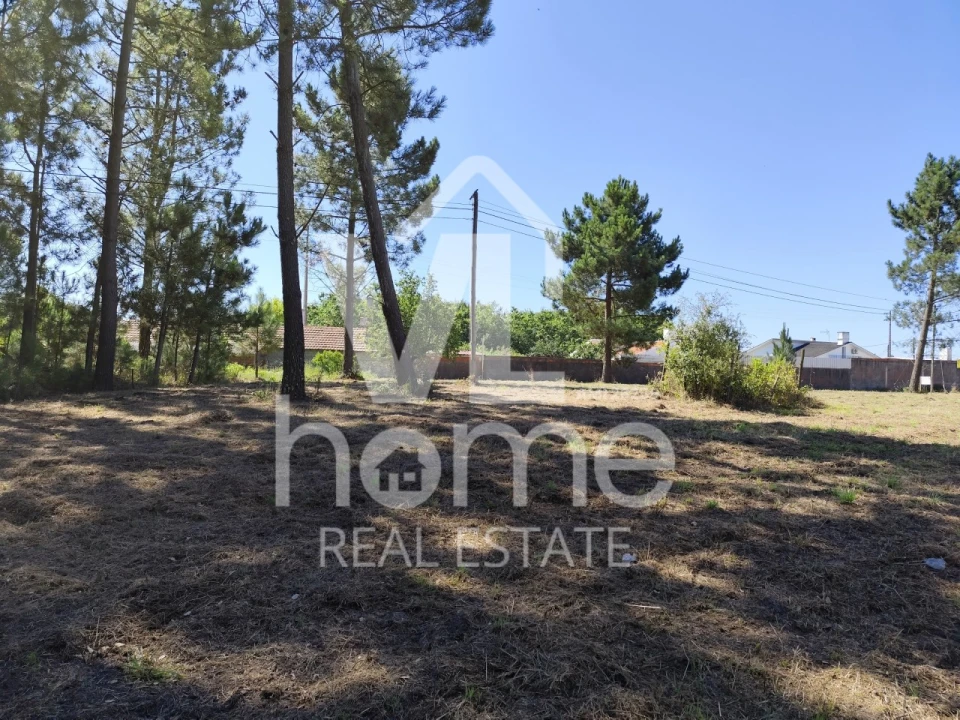 Terreno para Venda em Maceira Foto 26