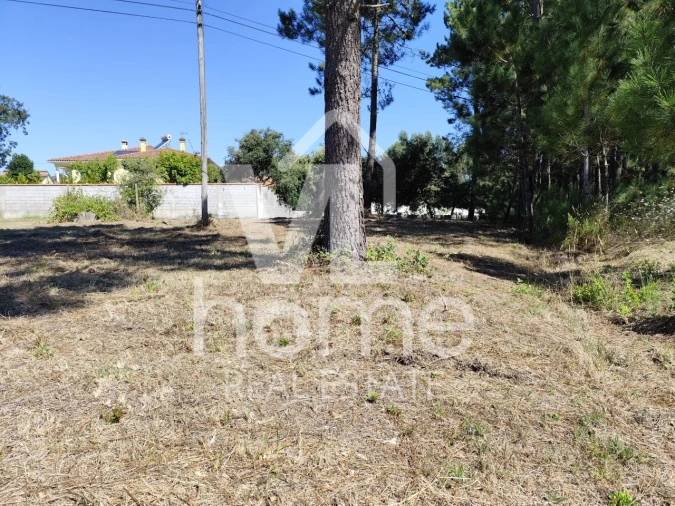 Terreno para Venda em Maceira Foto 14