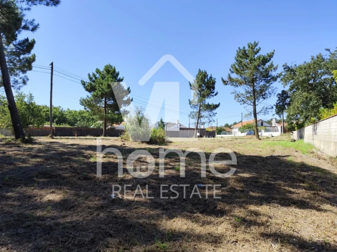 Terreno para Venda em Maceira Foto 16