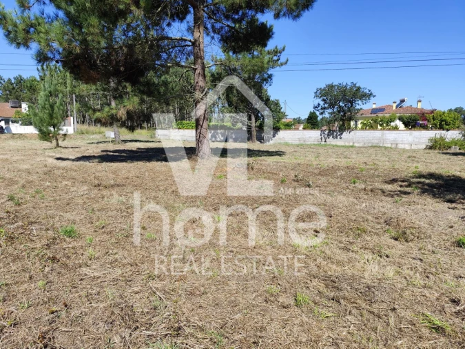 Terreno para Venda em Maceira Foto 19