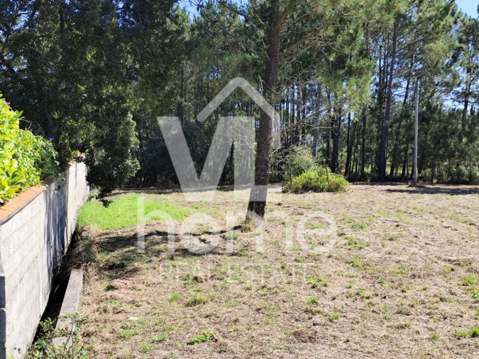 Terreno para Venda em Maceira Foto 21