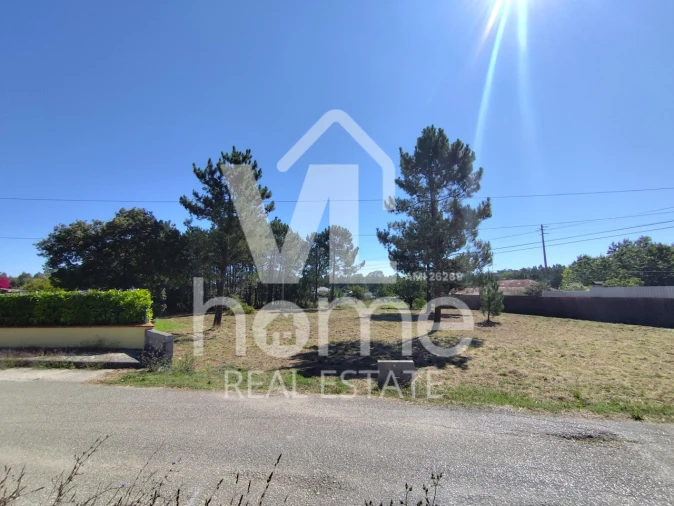 Terreno para Venda em Maceira Foto 22