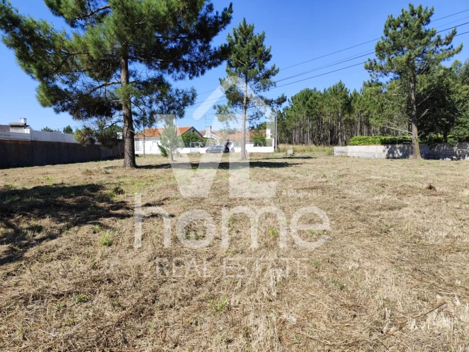Terreno para Venda em Maceira Foto 29