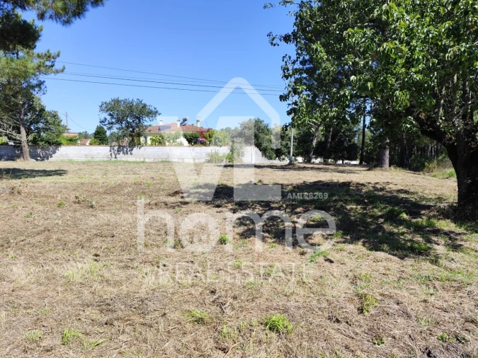 Terreno para Venda em Maceira Foto 30