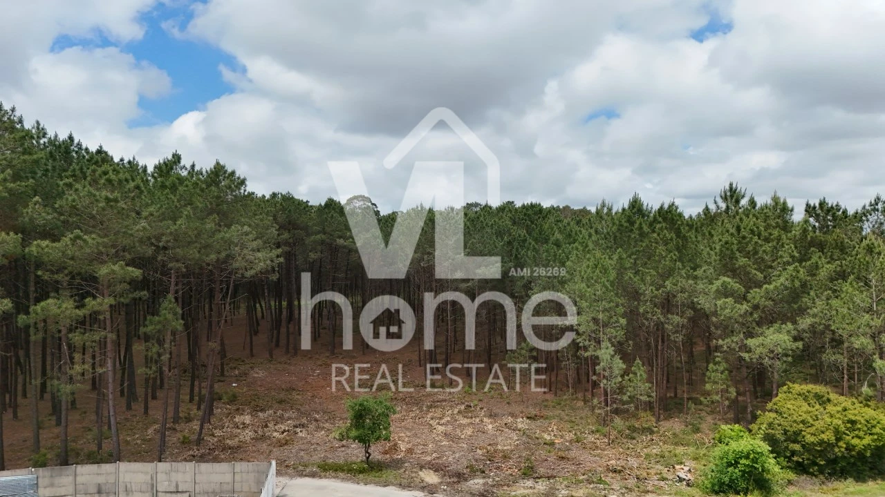 Terreno para Venda em Maceira Foto 2