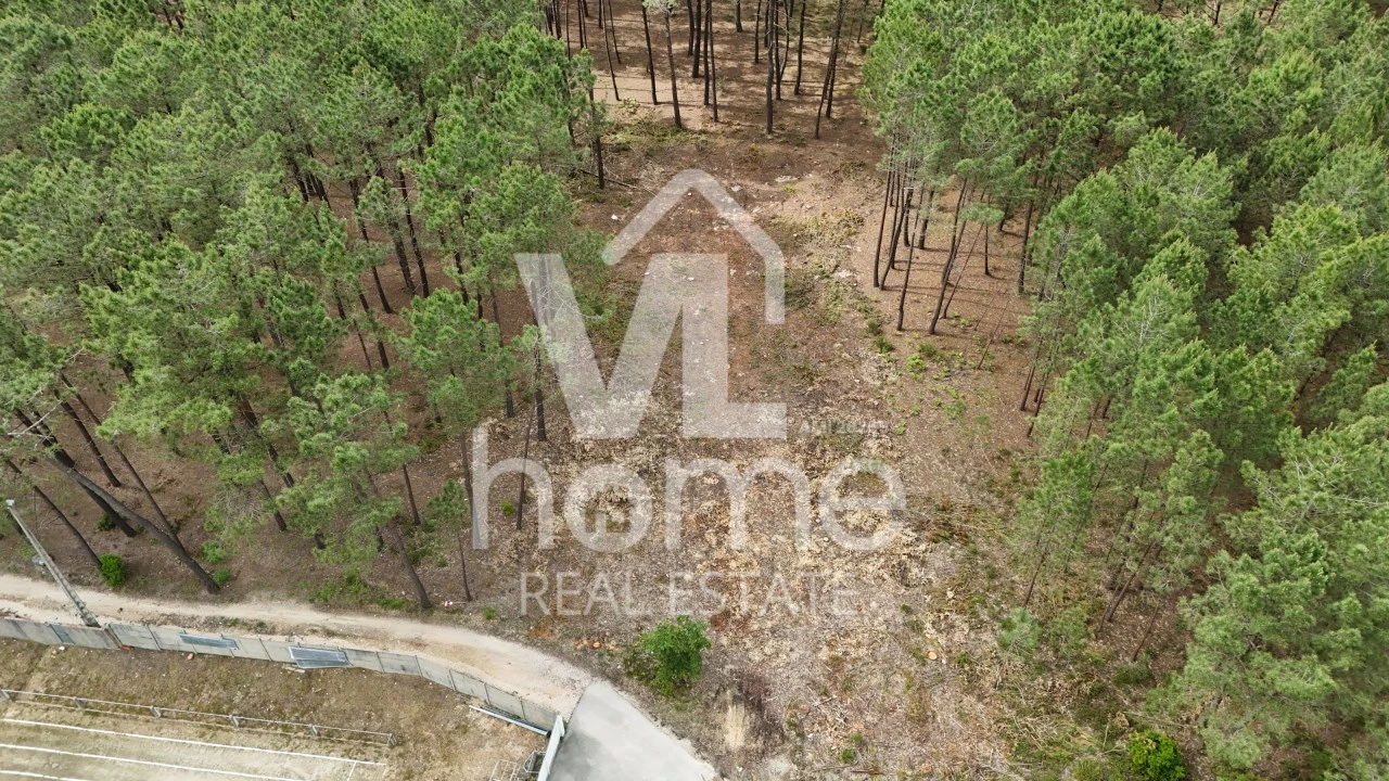 Terreno para Venda em Maceira Foto 14