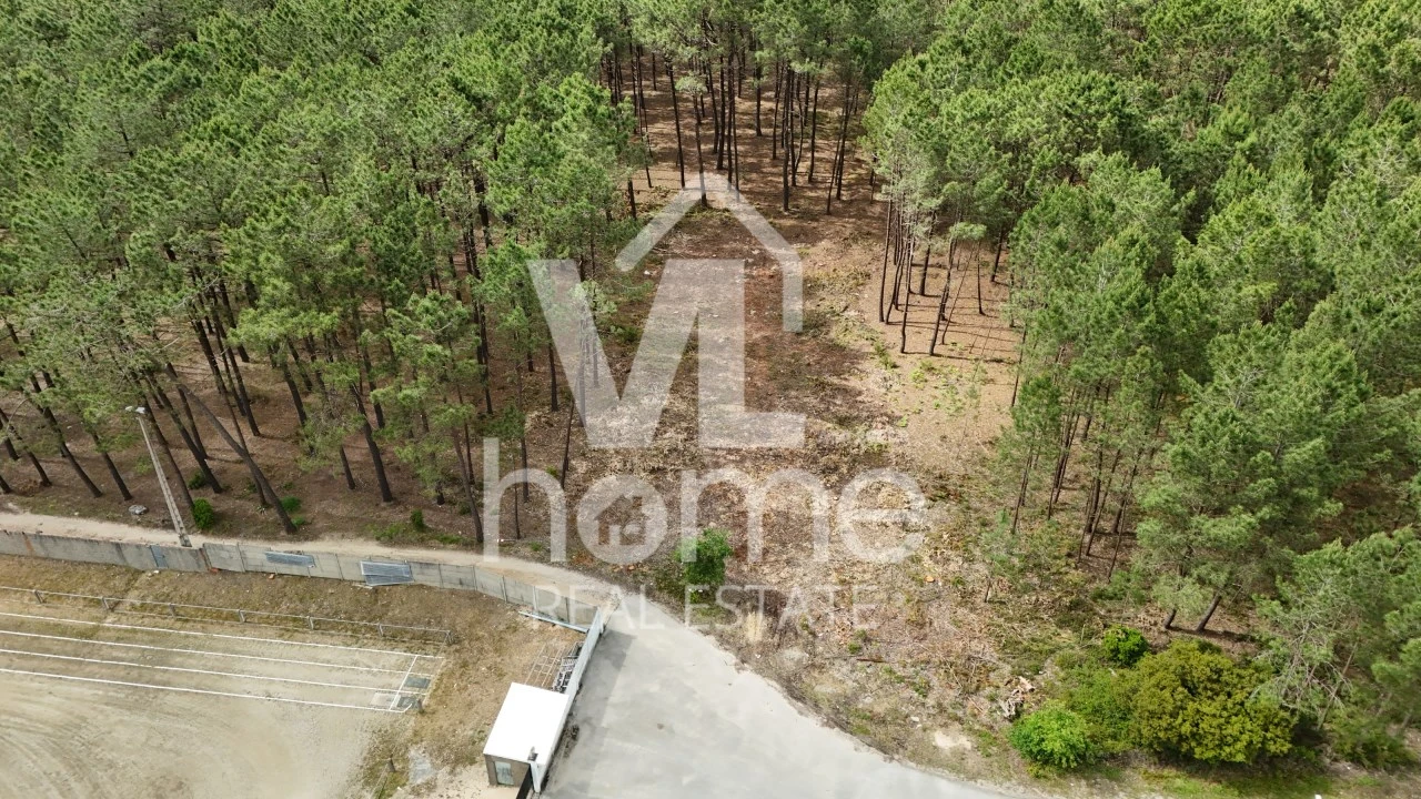 Terreno para Venda em Maceira Foto 15