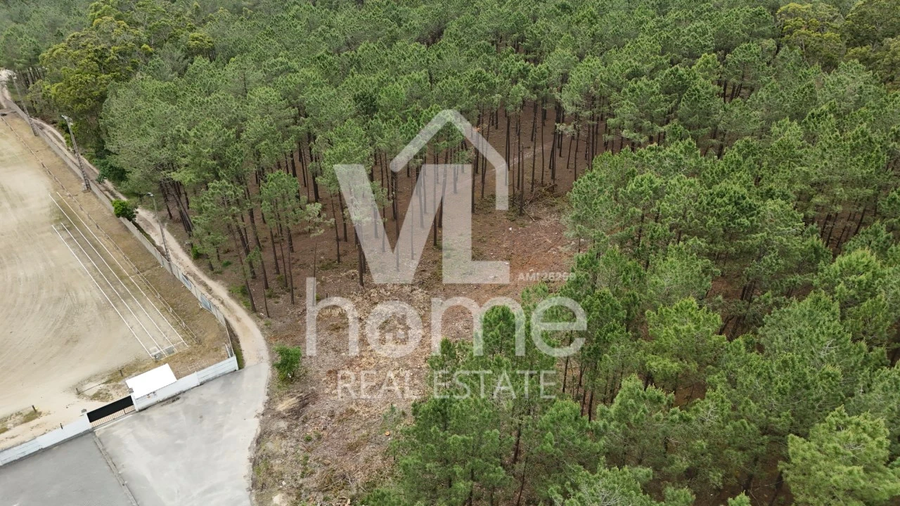 Terreno para Venda em Maceira Foto 17