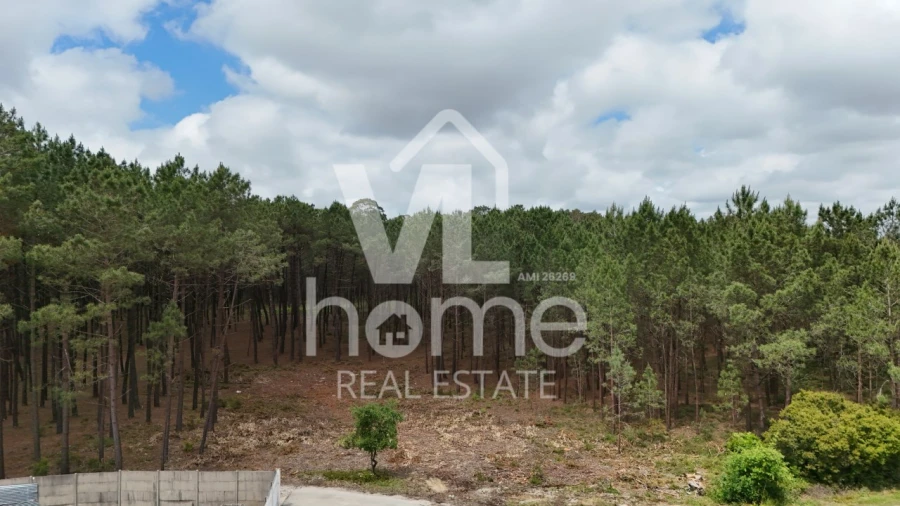 Terreno para Venda em Maceira Foto 2