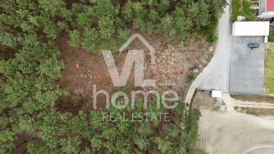 Terreno para Venda em Maceira Foto 11