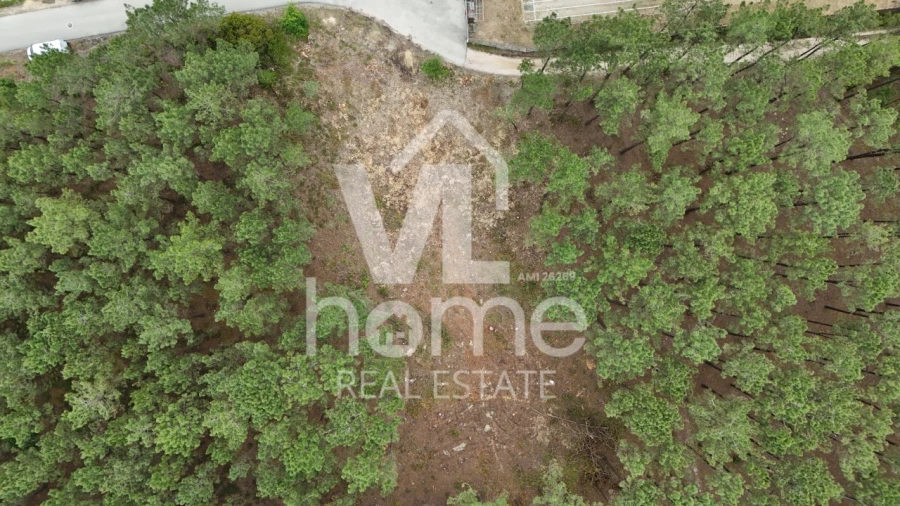 Terreno para Venda em Maceira Foto 12