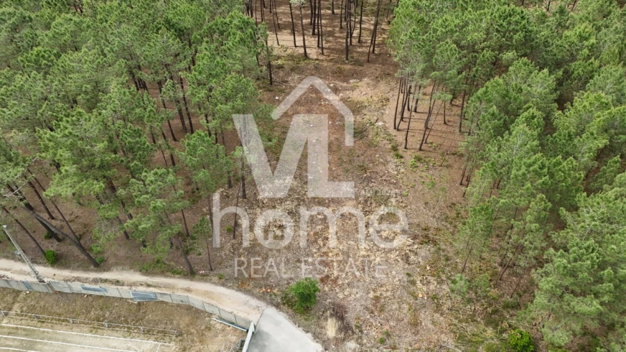 Terreno para Venda em Maceira Foto 14